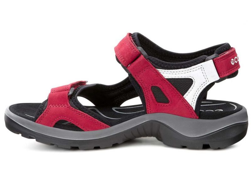 069563_55287_2 069563_55287_2