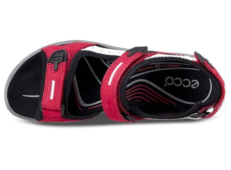 069563_55287_6 069563_55287_6