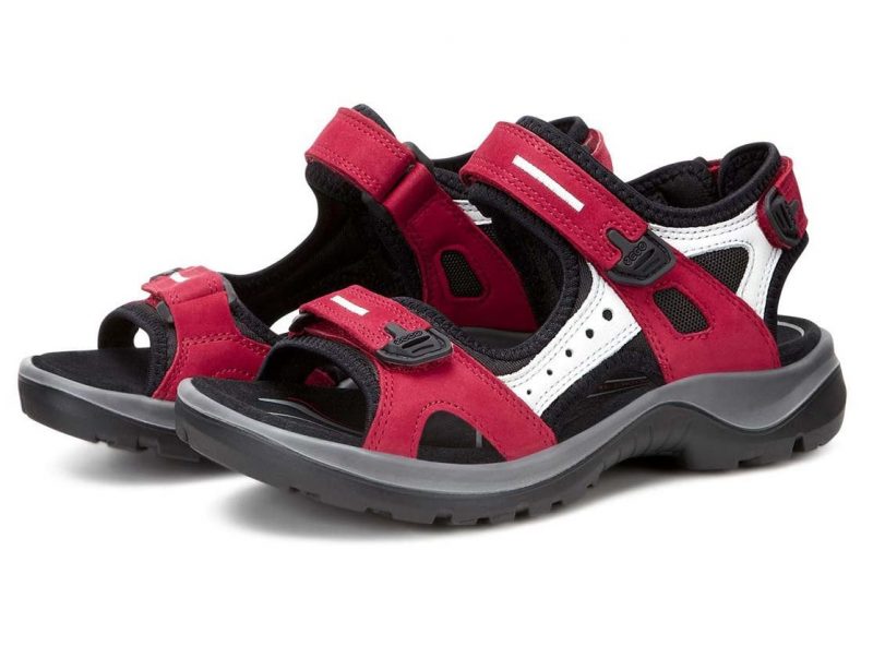 069563_55287_8 069563_55287_8