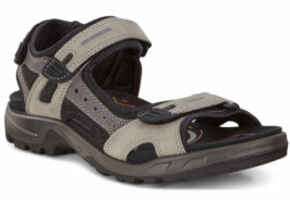 069564-57182-main-nfh