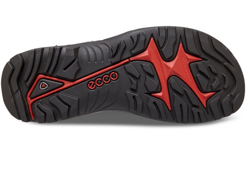 069564_02038_7 069564_02038_7