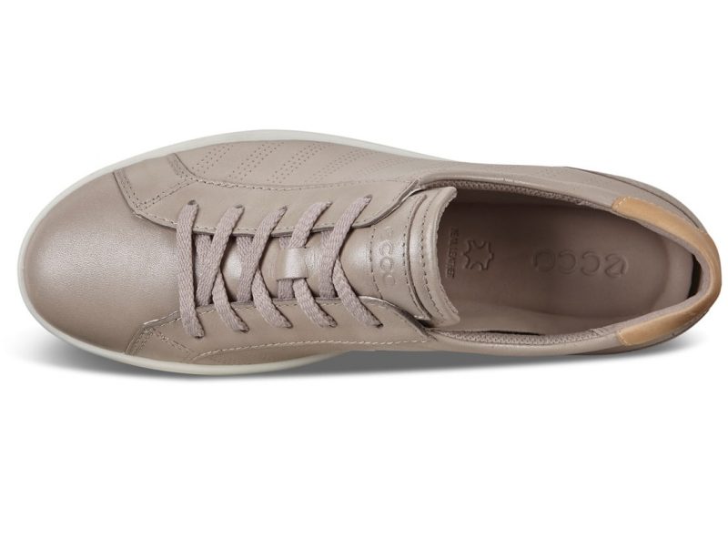 205033_52039_6 205033_52039_6