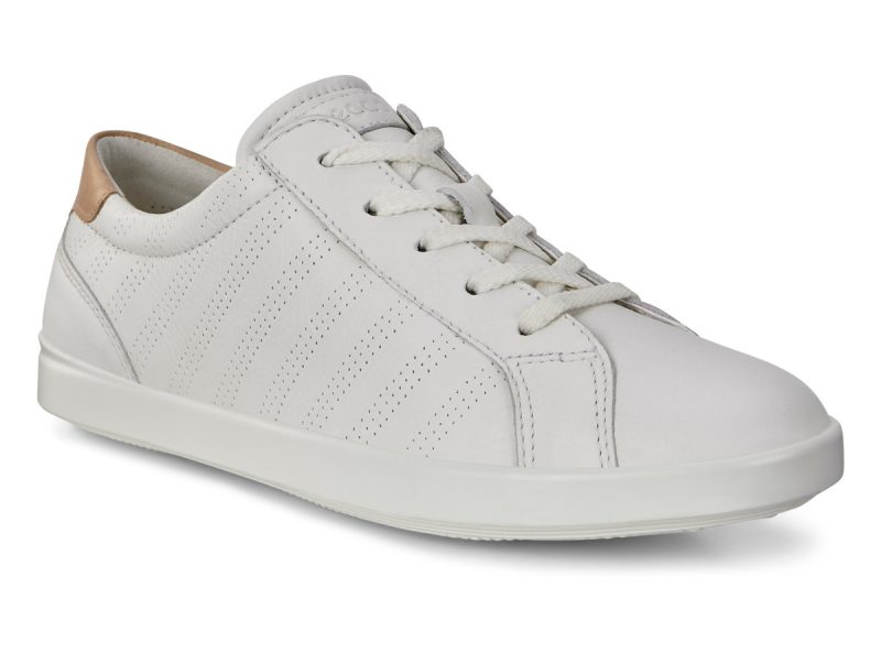 205033_59529 205033_59529