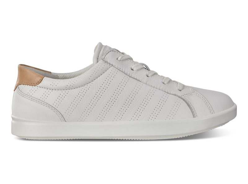 205033_59529_3 205033_59529_3