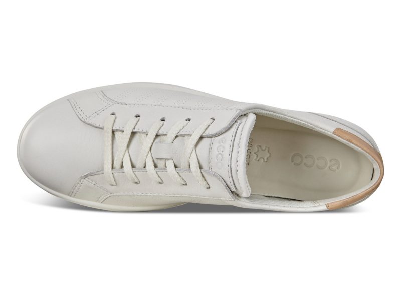 205033_59529_6 205033_59529_6