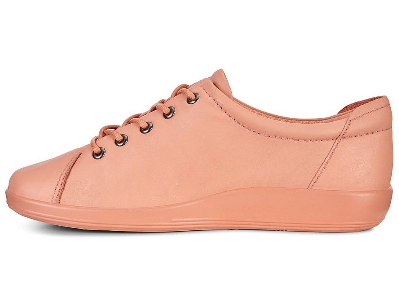 206503-01309-inside 206503-01309-inside