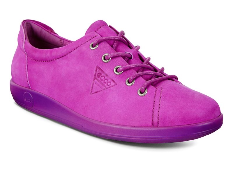 206503_02531 206503_02531