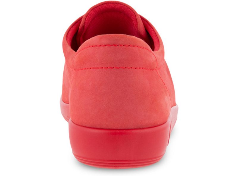 206503_02535_5 206503_02535_5