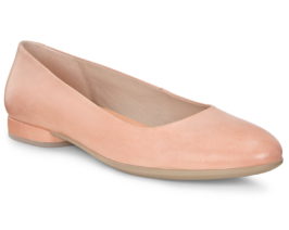 208003-01309-main-nfh