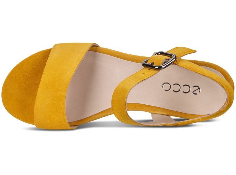 209013_05366_6 209013_05366_6