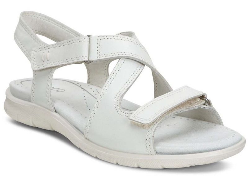 214093_01152 214093_01152