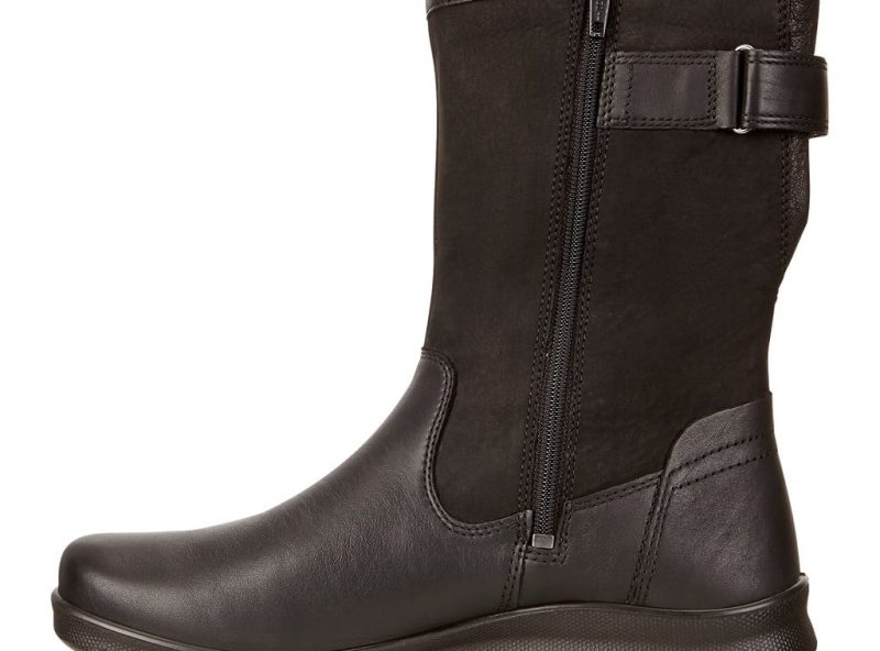 215603-01001-inside 215603-01001-inside