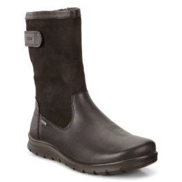 215603-01001-main-nfh