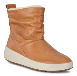 221043-01310-main-nfh