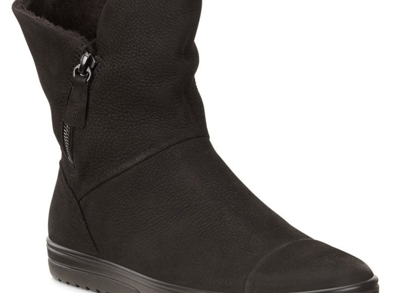 235423-02001-main-nfh