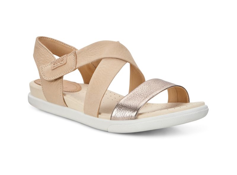 248273-50666-main-nfh