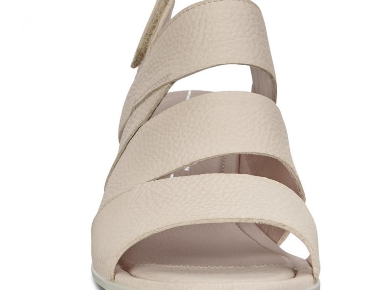 250153-01281-front 250153-01281-front