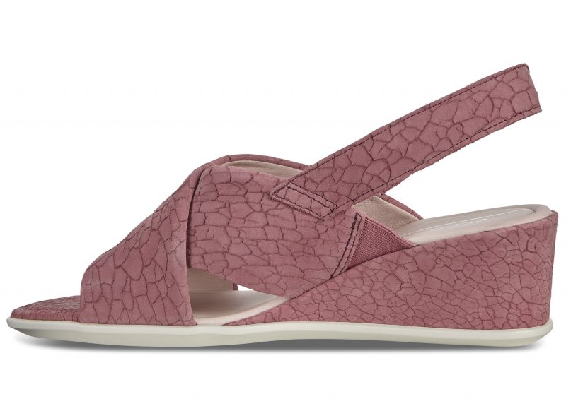 250163-02236-inside 250163-02236-inside