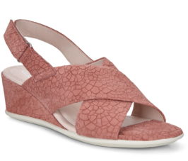 250163-02236-main-nfh