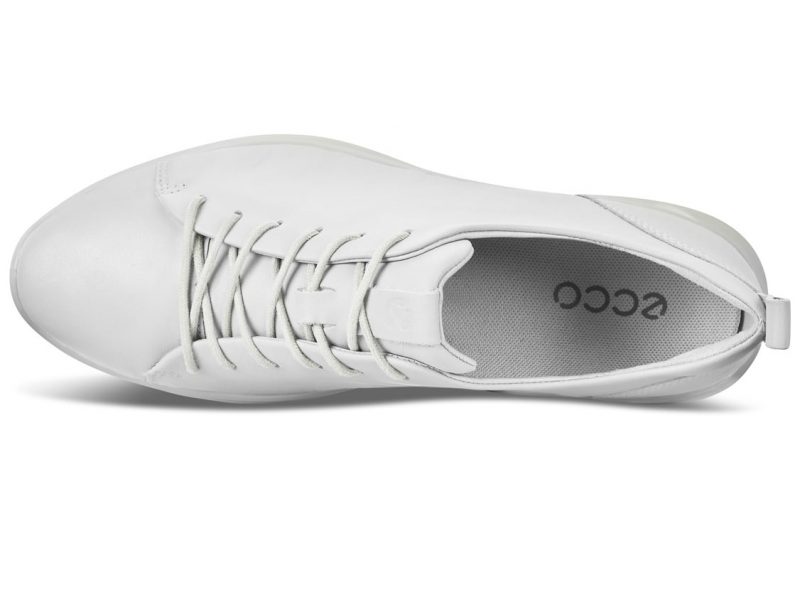 292303_01007_6 292303_01007_6