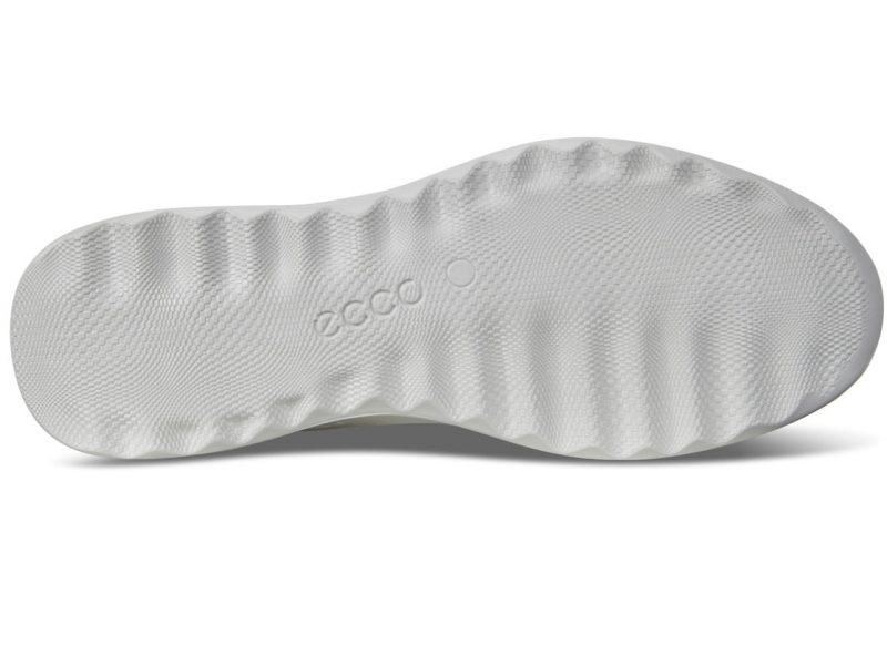 292303_01007_7 292303_01007_7