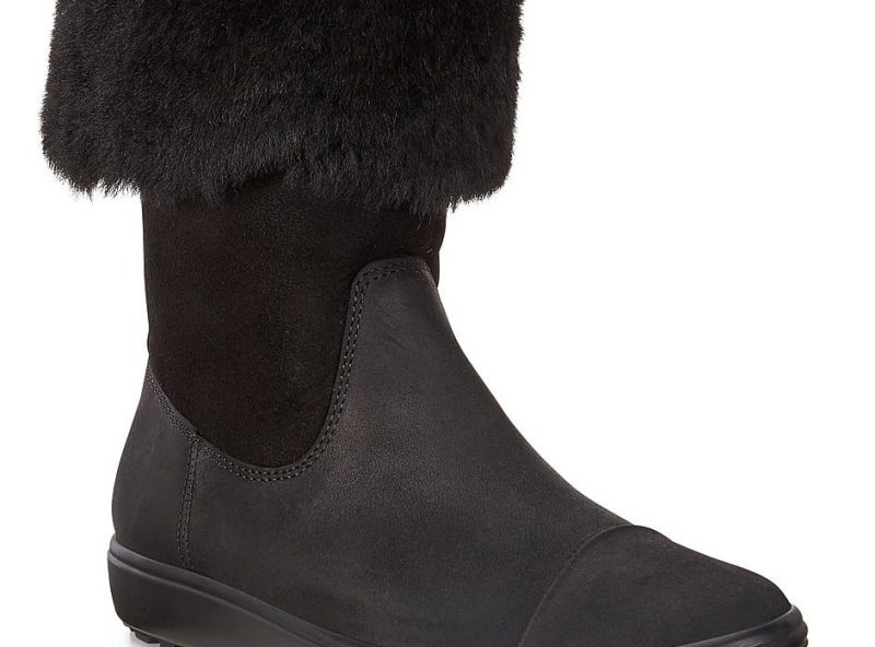 450143-51052-main-nfh