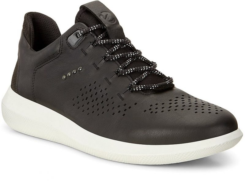 450524-53859-main-nfh