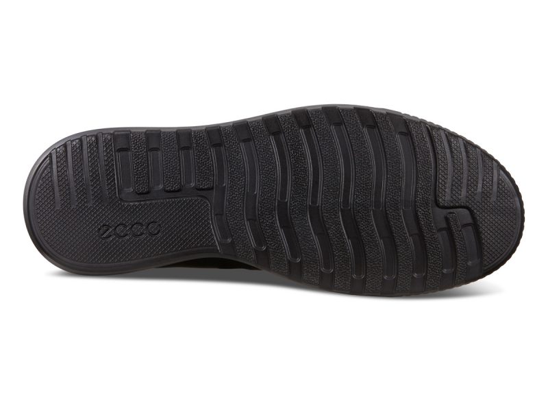 501544_01001_7 501544_01001_7