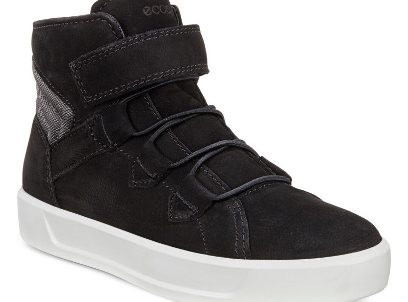 701063-01001-main-nfh