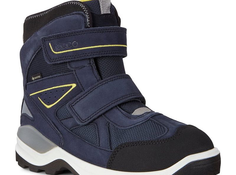 710263-51237-main-nfh 710263-51237-main-nfh