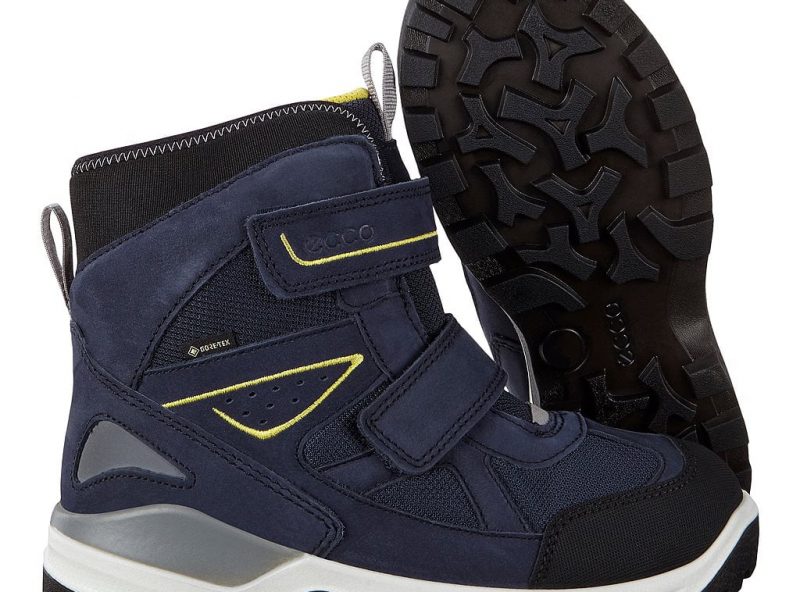 710263-51237-pair-nfh 710263-51237-pair-nfh