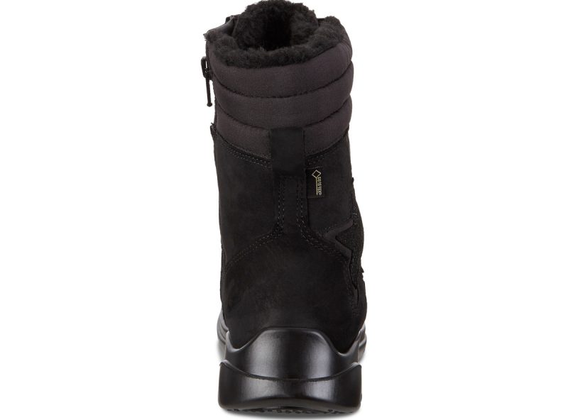 724733_51052_5 724733_51052_5