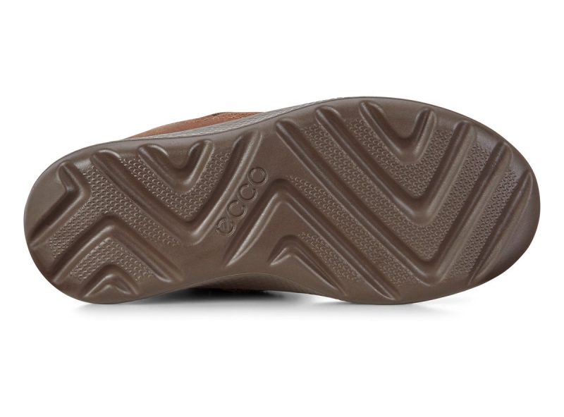 733762_50721_7 733762_50721_7