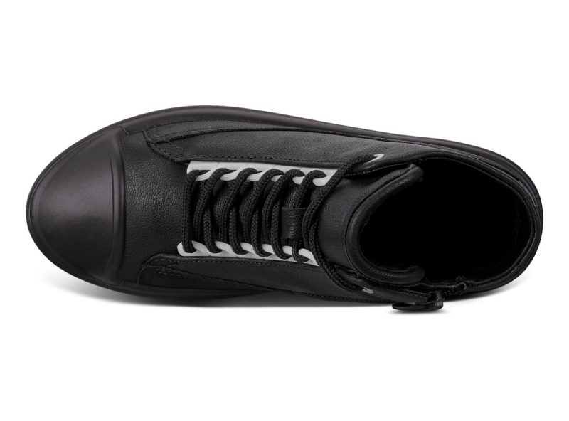 764263_01001_6 764263_01001_6