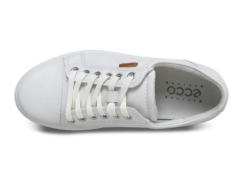 780013_01007_6 780013_01007_6