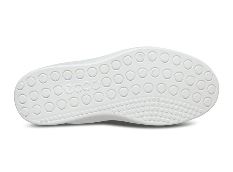 780013_01007_7 780013_01007_7