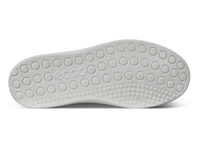 780013_01303_7 780013_01303_7