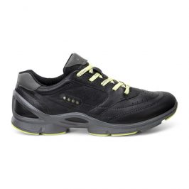 Ecco biom evo trainer sale