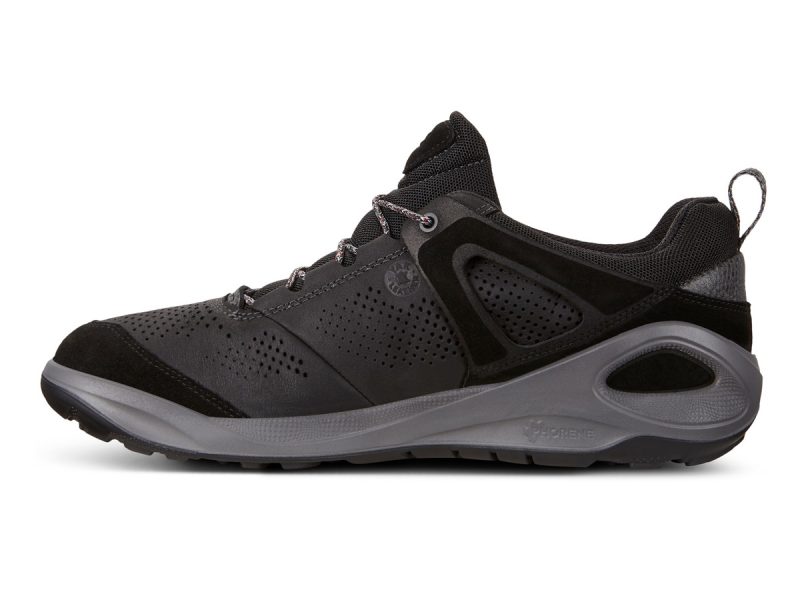 801904_51052_2 801904_51052_2