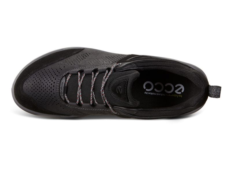 801904_51052_6 801904_51052_6