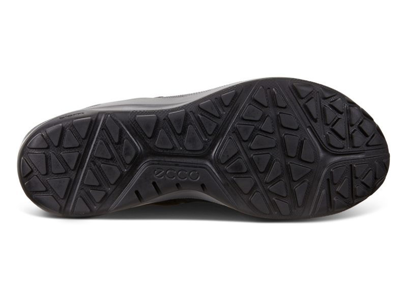 801904_51052_7 801904_51052_7