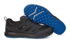 803524_51052_pair_nfh