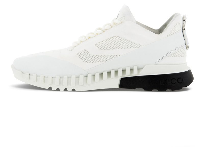 803784_50696_4 803784_50696_4