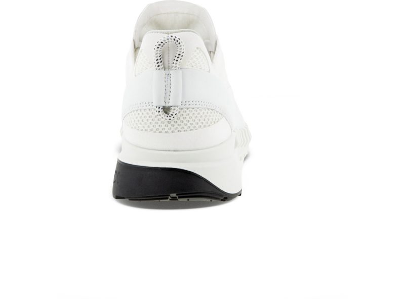 803784_50696_5 803784_50696_5