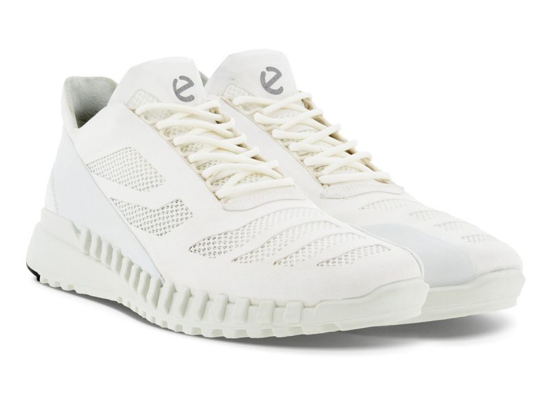 803784_50696_8 803784_50696_8