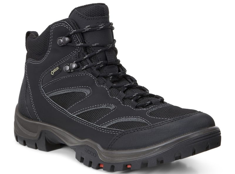 811164_53859 811164_53859