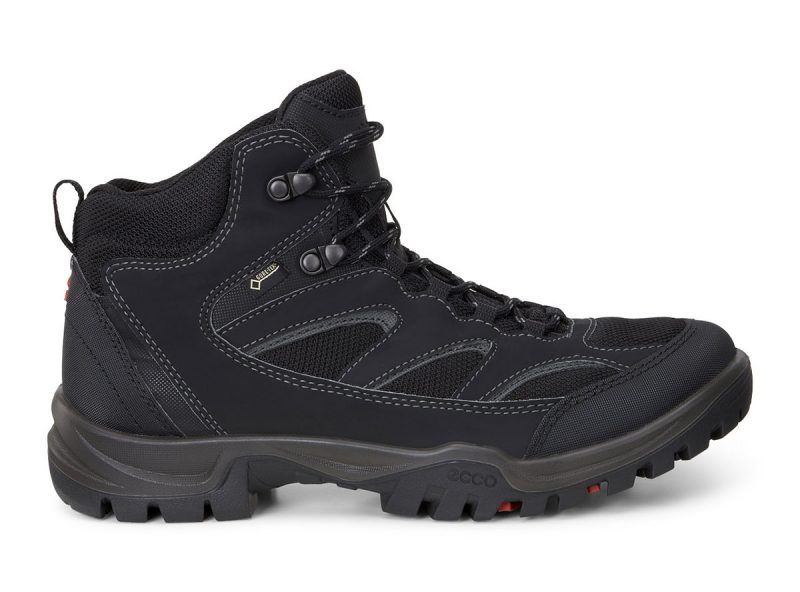 811164_53859_3 811164_53859_3