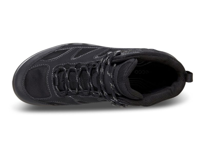 811164_53859_6 811164_53859_6