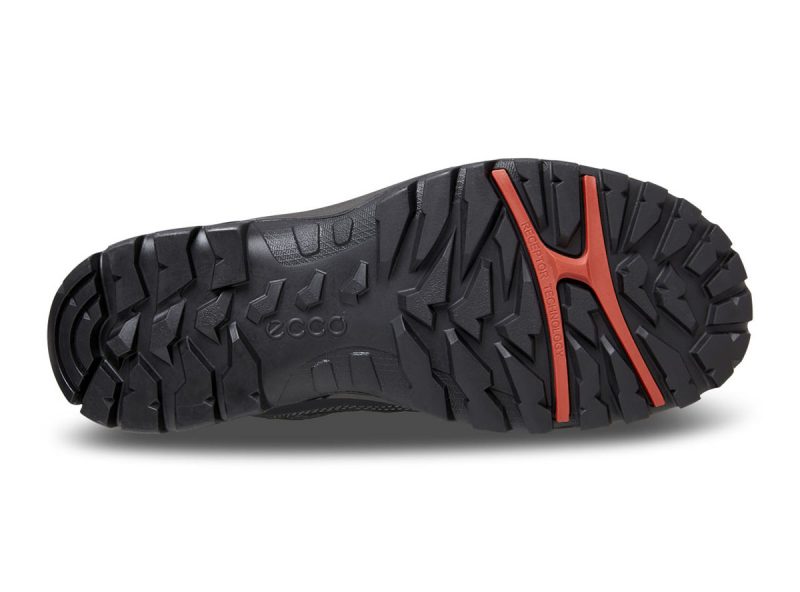 811164_53859_7 811164_53859_7