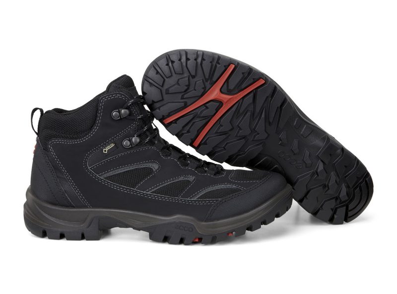 811164_53859_8 811164_53859_8